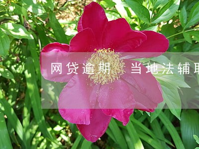 网贷逾期 当地法辅取证 网贷逾期 当地法辅取证